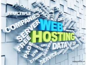 Hosting Website là gì