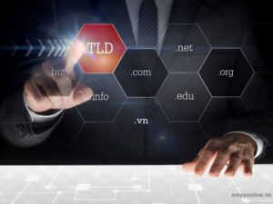 Top Level Domain tên miền Website