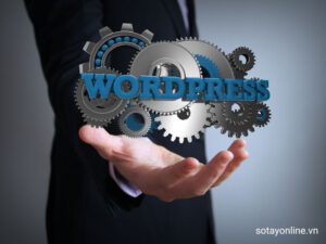 Hướng dẫn seo web wordpress hiệu quả